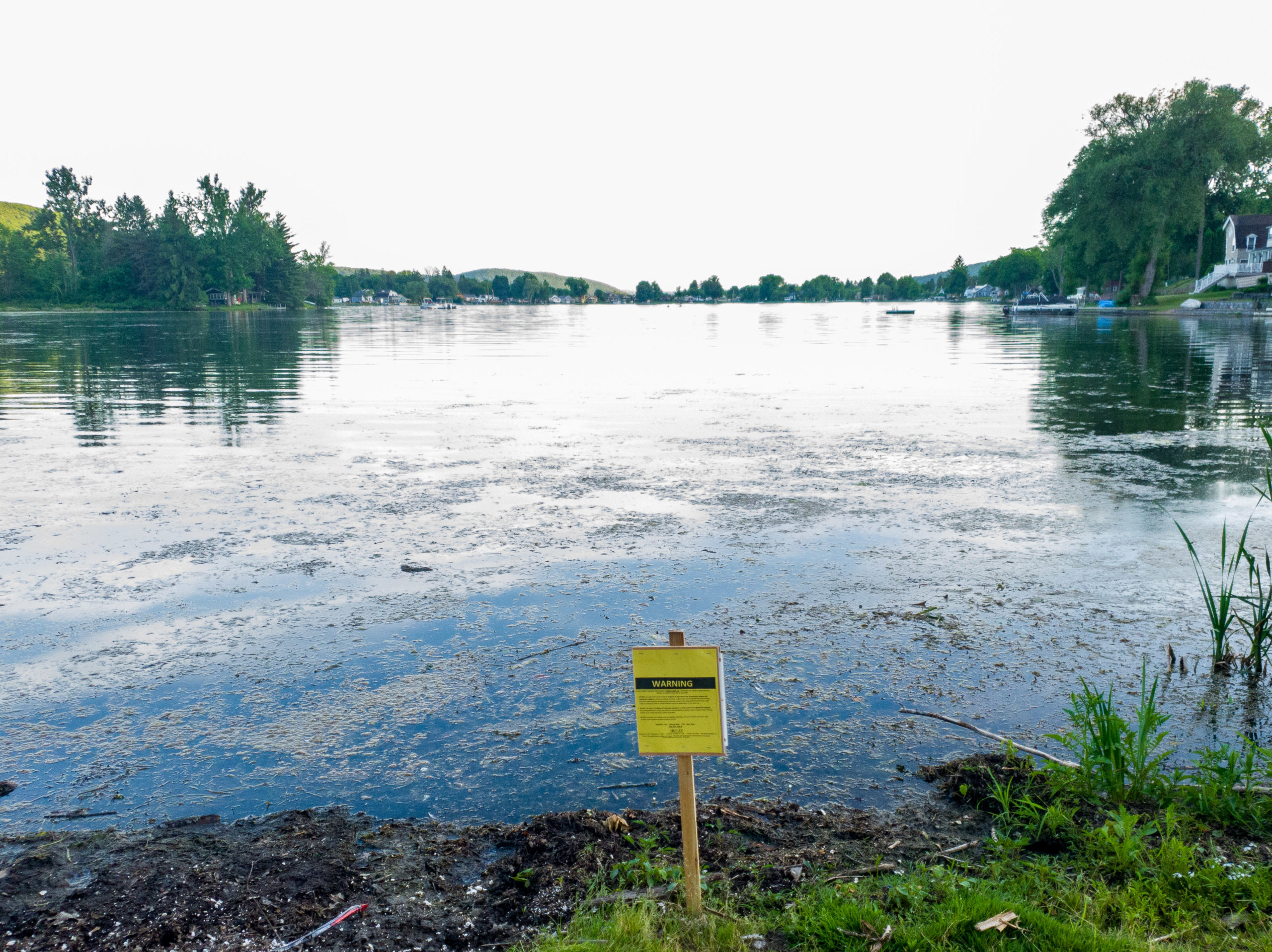 Treatment begins 6/18 at 10 a.m. – Little York Lake Preservation Society